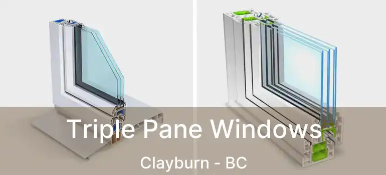  Triple Pane Windows Clayburn - BC