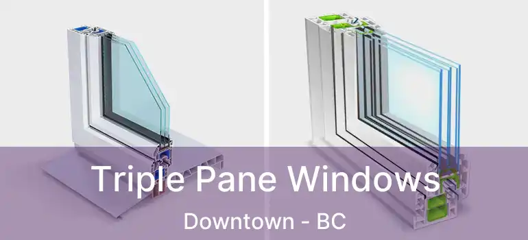  Triple Pane Windows Downtown - BC