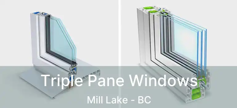  Triple Pane Windows Mill Lake - BC