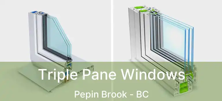  Triple Pane Windows Pepin Brook - BC