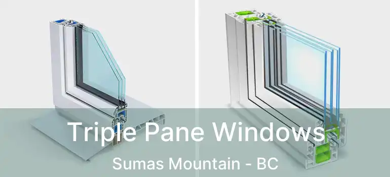  Triple Pane Windows Sumas Mountain - BC