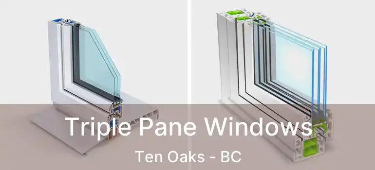  Triple Pane Windows Ten Oaks - BC