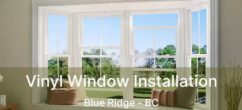  Vinyl Window Installation Blue Ridge - BC