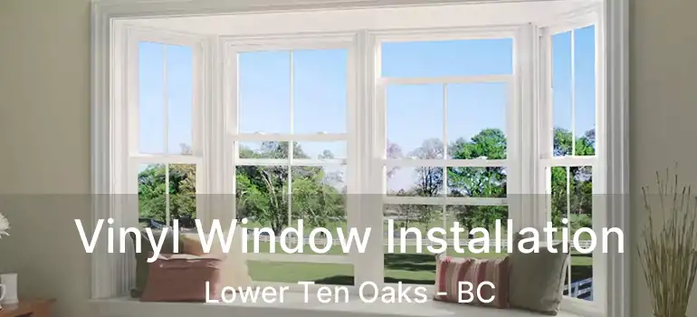  Vinyl Window Installation Lower Ten Oaks - BC