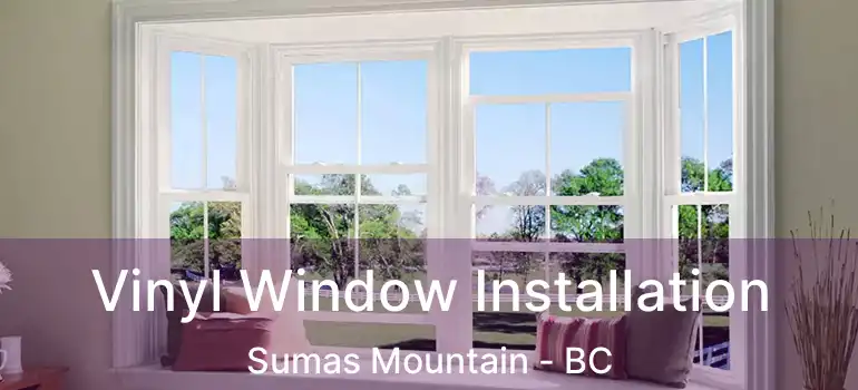  Vinyl Window Installation Sumas Mountain - BC