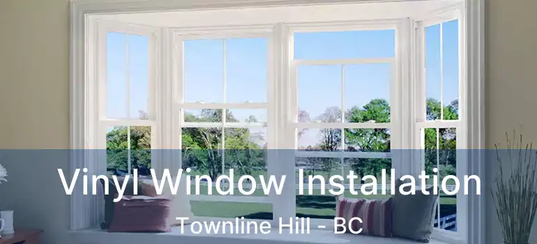  Vinyl Window Installation Townline Hill - BC