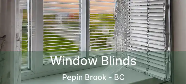  Window Blinds Pepin Brook - BC