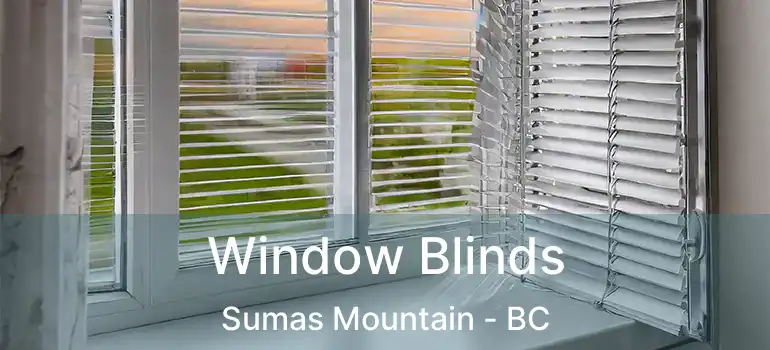  Window Blinds Sumas Mountain - BC