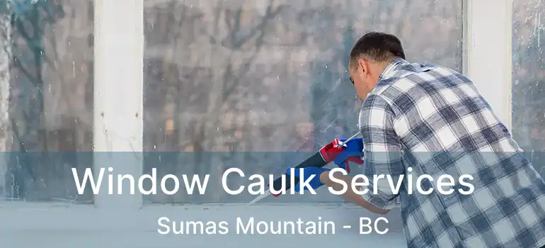  Window Caulk Services Sumas Mountain - BC