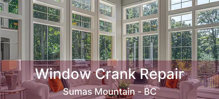  Window Crank Repair Sumas Mountain - BC