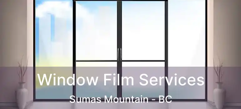  Window Film Services Sumas Mountain - BC