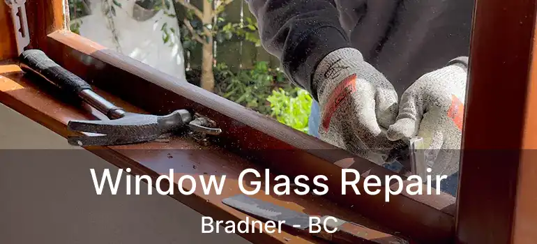  Window Glass Repair Bradner - BC