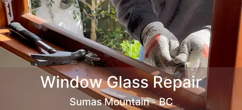  Window Glass Repair Sumas Mountain - BC