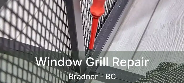  Window Grill Repair Bradner - BC