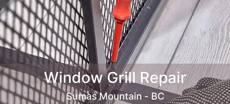  Window Grill Repair Sumas Mountain - BC