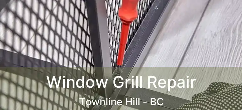  Window Grill Repair Townline Hill - BC