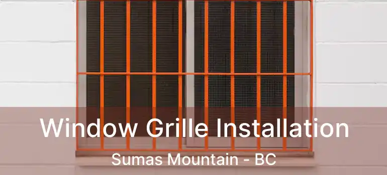 Window Grille Installation Sumas Mountain - BC