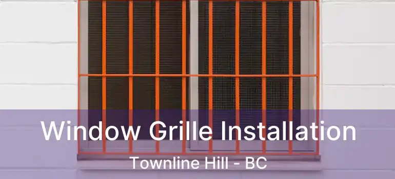  Window Grille Installation Townline Hill - BC