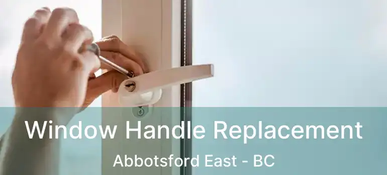  Window Handle Replacement Abbotsford East - BC