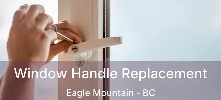  Window Handle Replacement Eagle Mountain - BC