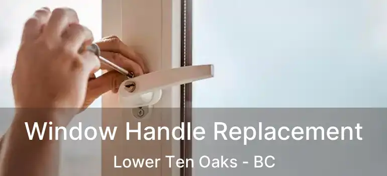  Window Handle Replacement Lower Ten Oaks - BC
