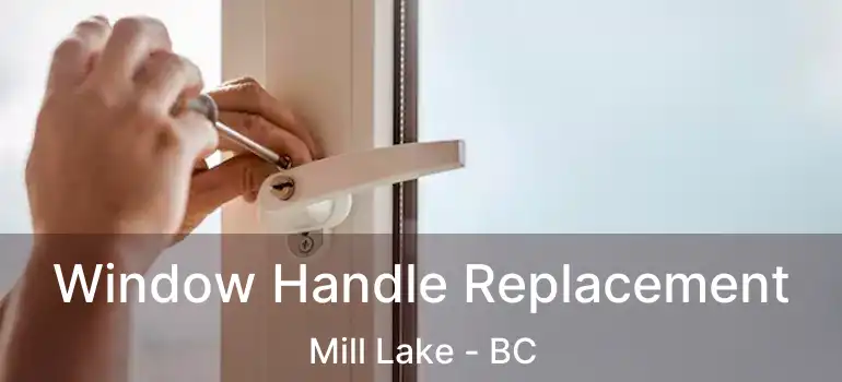  Window Handle Replacement Mill Lake - BC