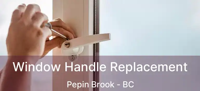  Window Handle Replacement Pepin Brook - BC
