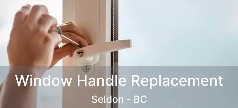  Window Handle Replacement Seldon - BC