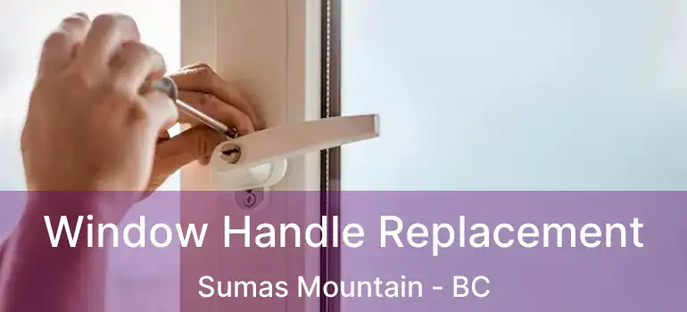  Window Handle Replacement Sumas Mountain - BC