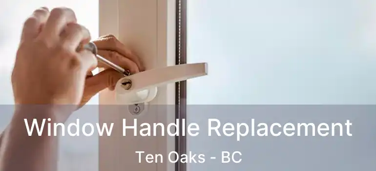  Window Handle Replacement Ten Oaks - BC