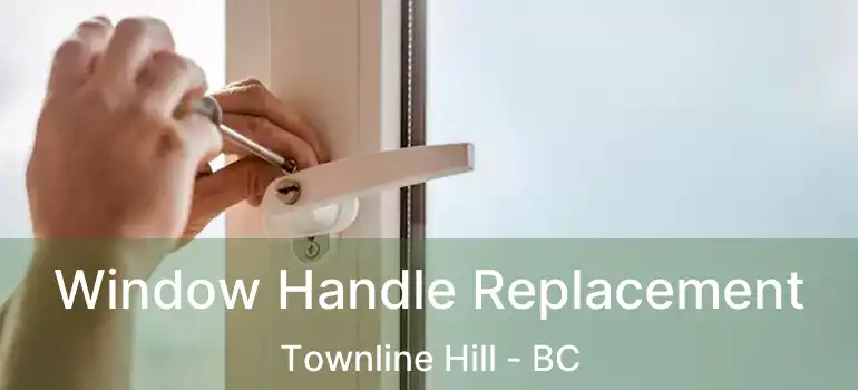  Window Handle Replacement Townline Hill - BC