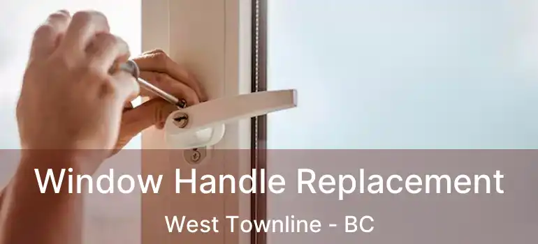  Window Handle Replacement West Townline - BC