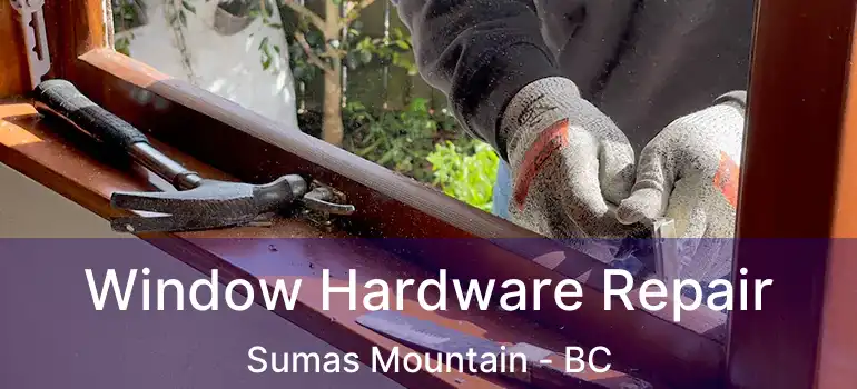  Window Hardware Repair Sumas Mountain - BC