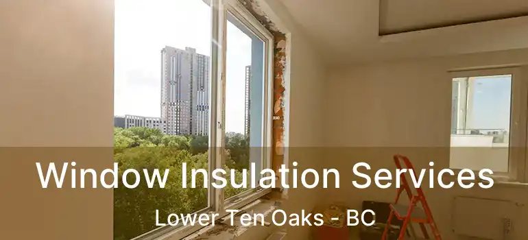  Window Insulation Services Lower Ten Oaks - BC