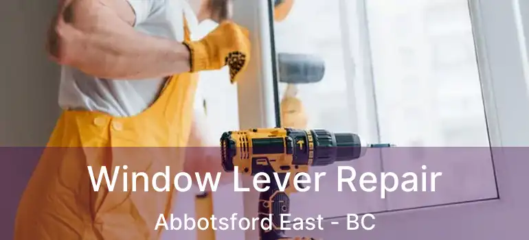  Window Lever Repair Abbotsford East - BC