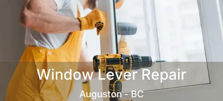  Window Lever Repair Auguston - BC