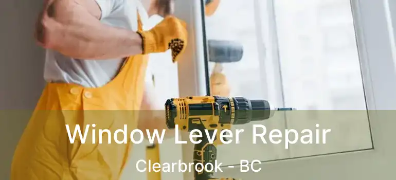  Window Lever Repair Clearbrook - BC