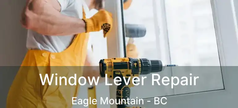  Window Lever Repair Eagle Mountain - BC