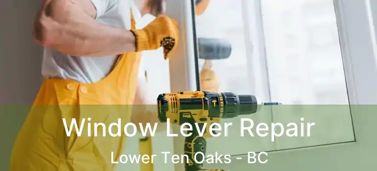  Window Lever Repair Lower Ten Oaks - BC