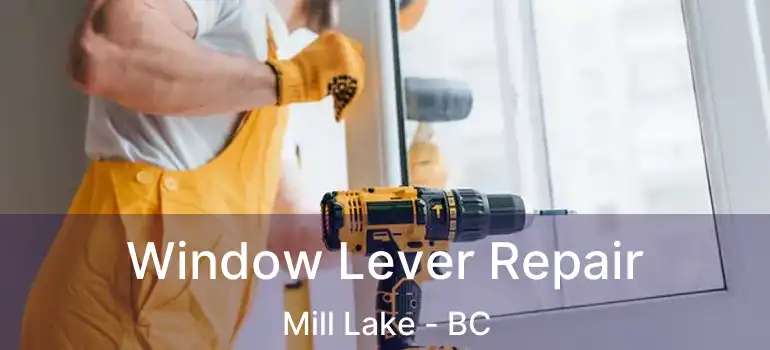 Window Lever Repair Mill Lake - BC
