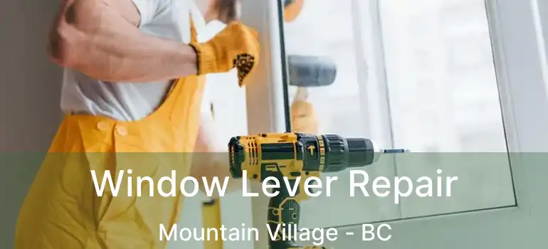  Window Lever Repair Mountain Village - BC