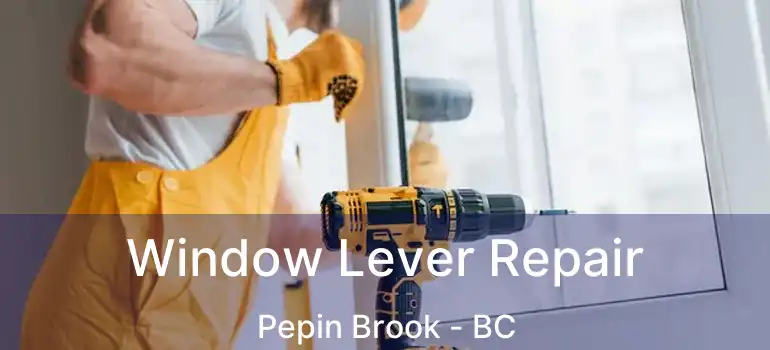  Window Lever Repair Pepin Brook - BC
