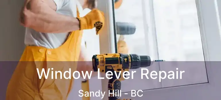  Window Lever Repair Sandy Hill - BC