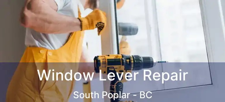  Window Lever Repair South Poplar - BC