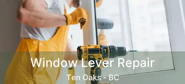  Window Lever Repair Ten Oaks - BC