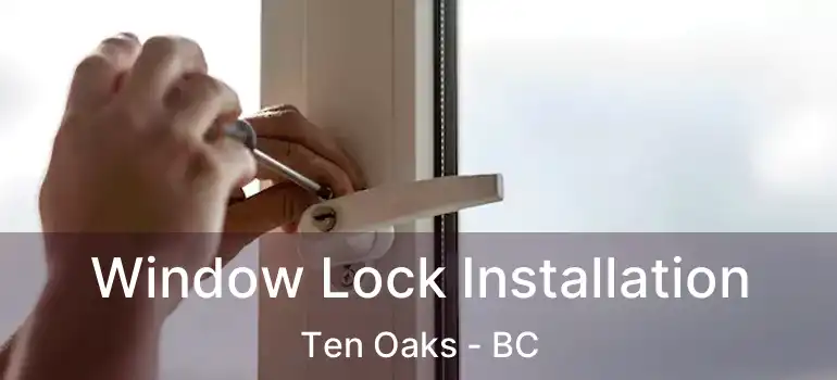  Window Lock Installation Ten Oaks - BC