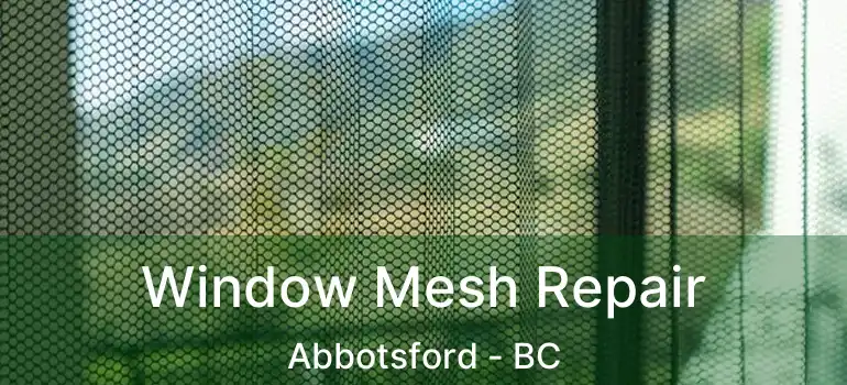  Window Mesh Repair Abbotsford - BC