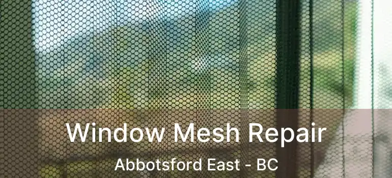  Window Mesh Repair Abbotsford East - BC