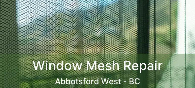  Window Mesh Repair Abbotsford West - BC