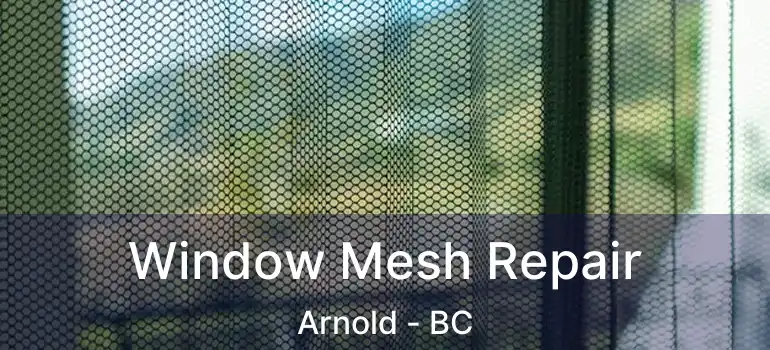  Window Mesh Repair Arnold - BC